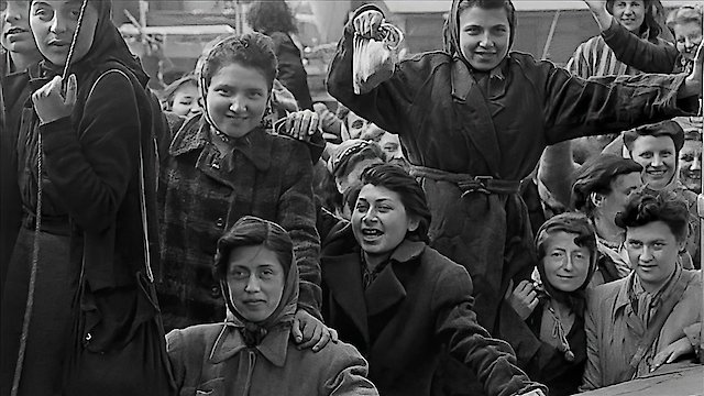 Watch Harbour of Hope Online