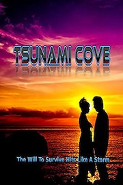 Tsunami Cove poster