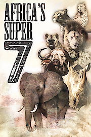 Africa's Super Seven