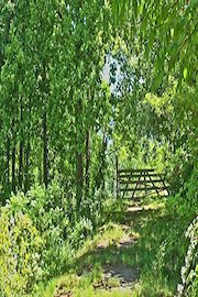 A Path Less Taken: From Ministry To Non-Belief And Beyond poster
