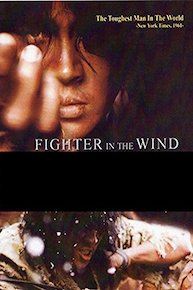 Fighetr In The Wind