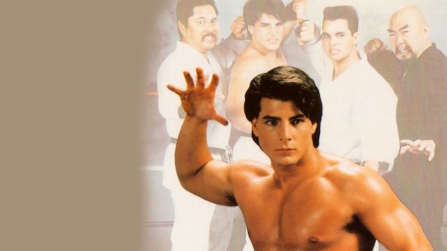 Watch Karate Wars Online