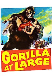Gorilla poster