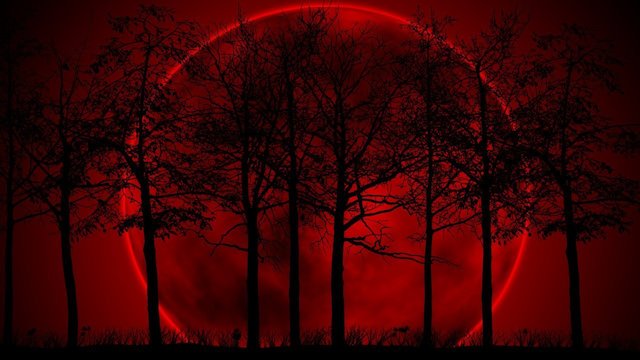 Watch Blood Moon Rising: Lucy's Revenge Online