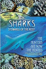 Sharks: Stewards of the Reef poster