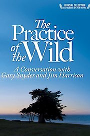 The Practice of the Wild poster