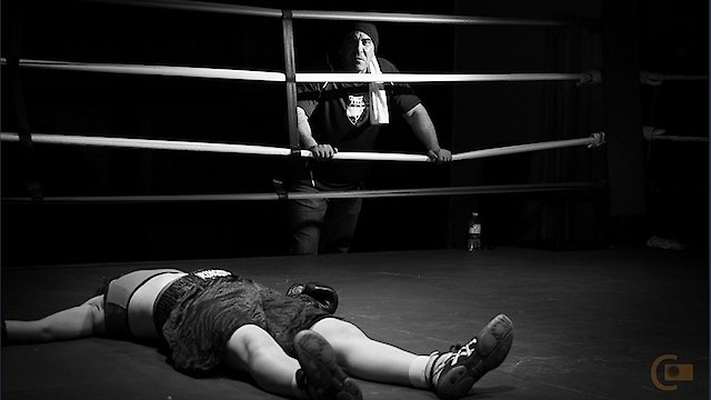 Watch Fight Day Online