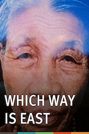 Which Way Is East poster