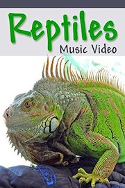 Reptiles poster