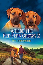 Where The Red Fern Grows - Part 2 poster