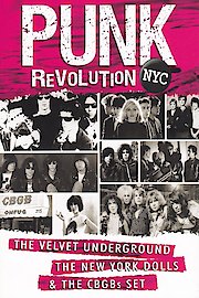 Punk Revolution NYC: The Velvet Underground, The New York Dolls And The CBGBs Set poster