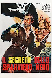Secret Of The Black Falcon poster