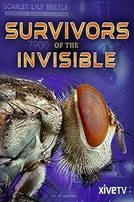 Survivors of the Invisible