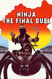 Ninja The Final Duel poster