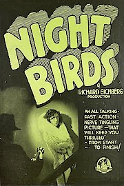 Night Birds poster