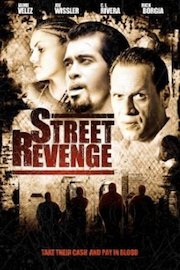 Street Revenge poster