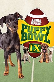 Puppy Bowl IX poster