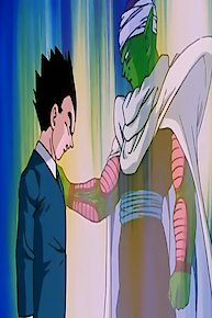 Piccolo