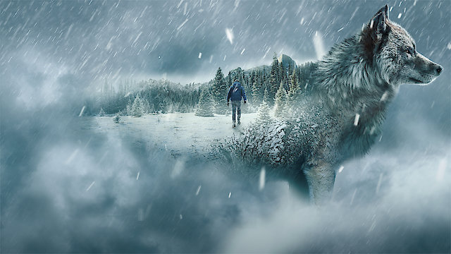 Watch Symphony of Solitude Online