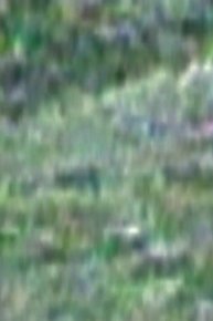 Sasquatch Sprint / Alien Attacker