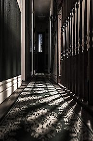 Bracken Fern Manor