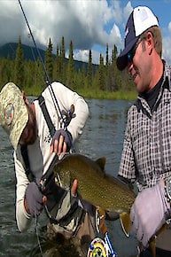 Yukon Territory Pike and Grayling part 1