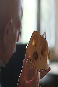 Piltdown Man