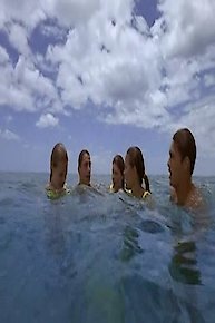Mahalo Hawaii