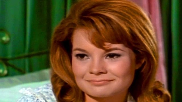 Watch Birds, Bees and Buffy Online