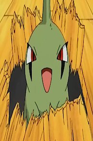 You're a Star, Larvitar