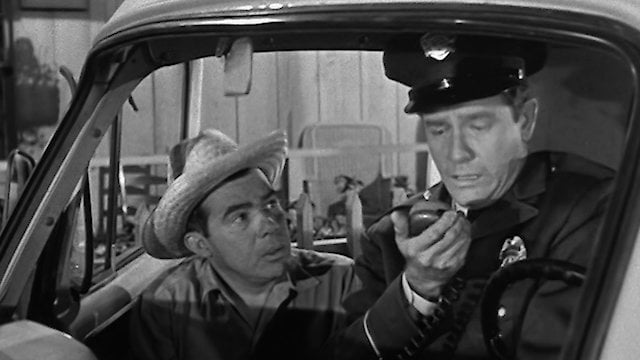 Watch Luke the Dog Catcher Online