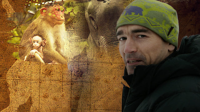 Watch Rogue Elephants Online