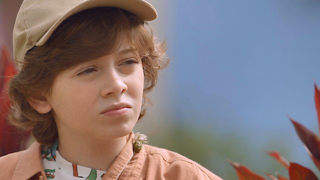 Watch Episódio 241 Online
