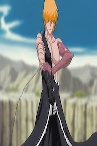 Bleach 309