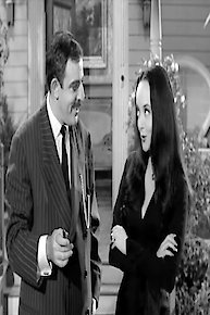 The Addams Family Tree