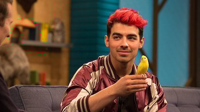Watch Joe Jonas Wears a Maroon and Gold Letterman Jacket with White Sneakers Online