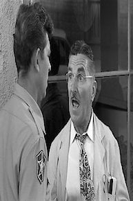 Andy and Opie-Bachelor's