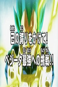 With His Pride on the Line! Vegeta's Challenge to Be the Strongest!!