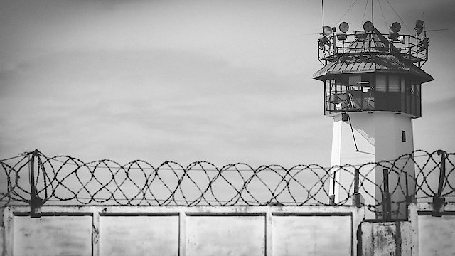 Watch Maze Prison Online