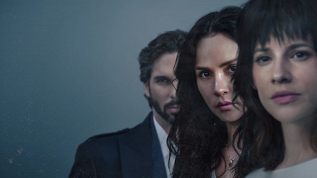 Watch The Guest Online