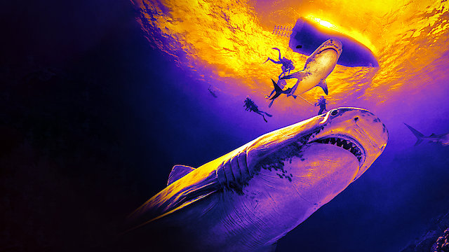 Watch Deadly Sharks of Paradise Online