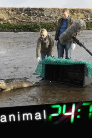 Animal 24/7