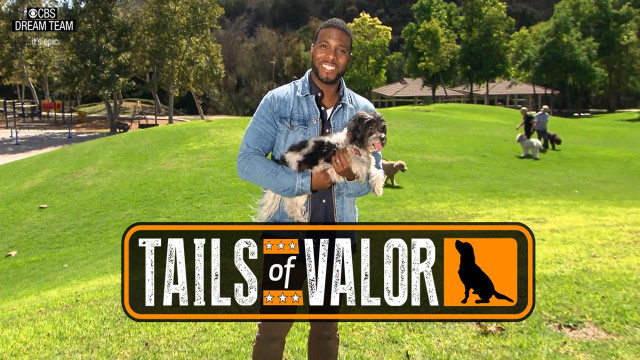Watch Tails of Valor Online