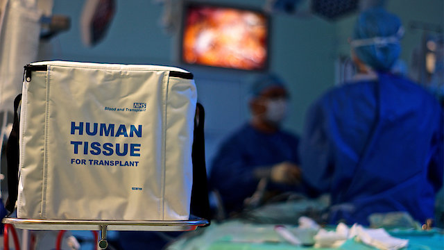 Watch Transplant Tales Online