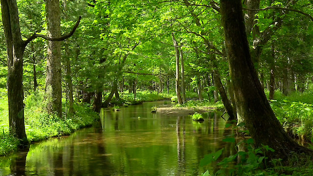 Watch Heartwarming Scenery Heartwarming Phrases Online