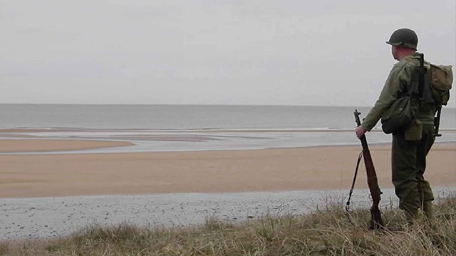 Watch D-Day: 100 Days for Freedom Online