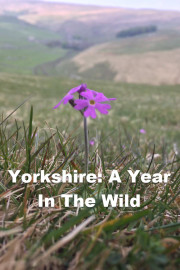 Yorkshire - A Year in the Wild poster