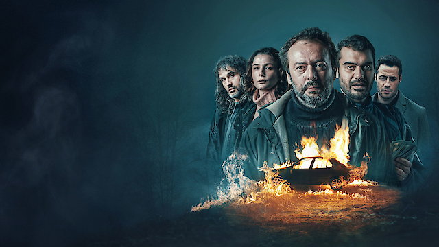 Watch The Town Online