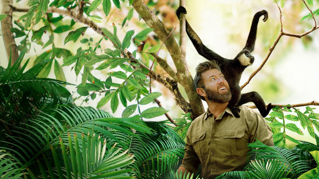 Watch Vantara Sanctuary Stories Online