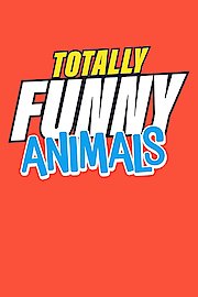 Totally Funny Animals poster